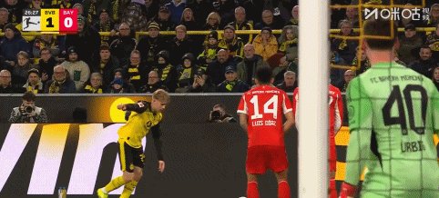 多拜26.gif